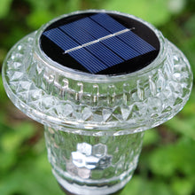 Load image into Gallery viewer, Premium Glass Solar Path Lights For Garden Yard
