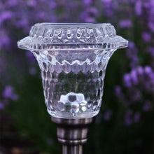 Load image into Gallery viewer, Premium Glass Solar Path Lights For Garden Yard
